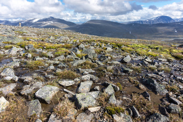 Moss y líquenes sobre piedras en el Parque Nacional Jotunheimen, Noruega
 - Foto, Imagen