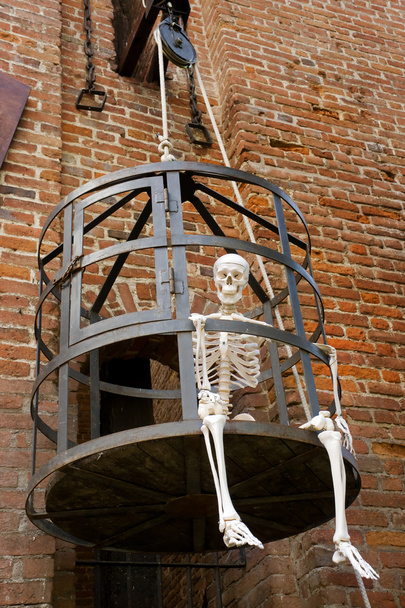 skeleton inside a metal cage - Fotoğraf, Görsel