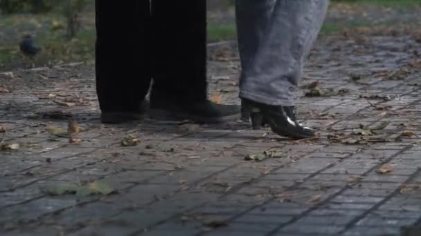 Feet of people closeup walk at autumn park - Felvétel, videó