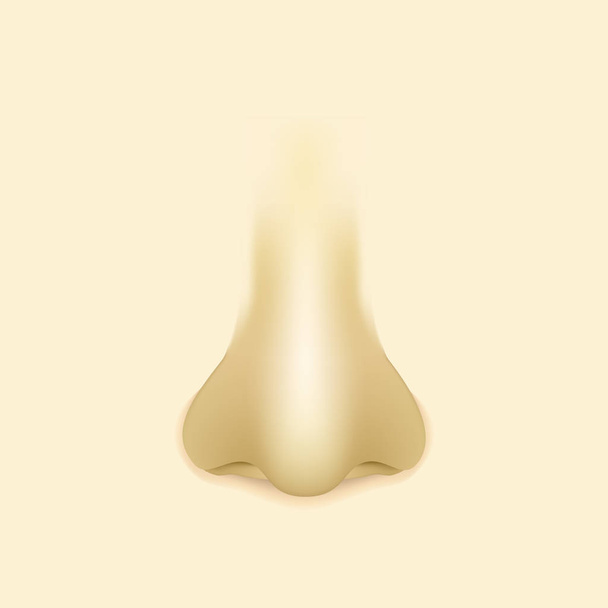 分離した人間の現実的な鼻。ベクトル図 eps10 - ベクター画像
