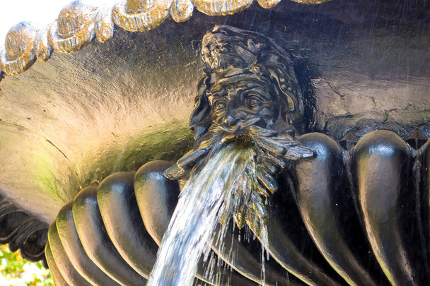 Bir çeşme bir kafa, kafa ağzından su akar şeklinde unsuru - Fotoğraf, Görsel