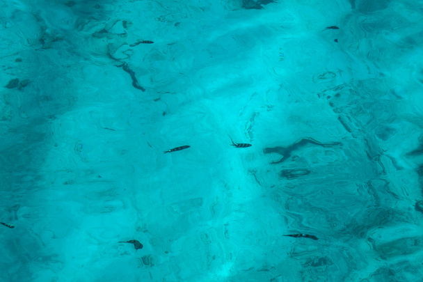 Bela superfície transparente azul mar com peixe. Tema de peixe oceânico para fundo. Foto stock para projeto turístico
 - Foto, Imagem