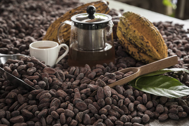 Cocoa Beans and Cocoa Fruits with teapot and cup of chocolate. - Zdjęcie, obraz