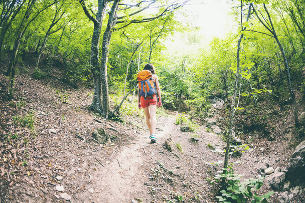 Το κορίτσι περπατάει μέσα στο δάσος. Μια νεαρή γυναίκα με ένα σακίδιο που ταξιδεύει μέσα από γραφικές τοποθεσίες. Ένας τουρίστας βόλτες κατά μήκος ένα μονοπάτι στο βουνό. Φακός fisheye. - Φωτογραφία, εικόνα