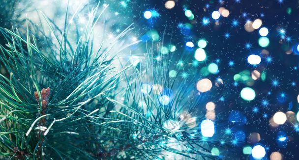 Christmas background with fir branches, glow, snowflakes and bokeh. - Фото, изображение