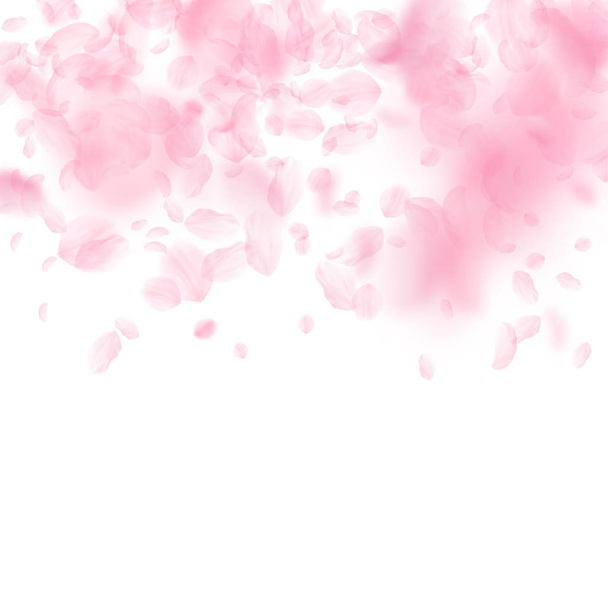 Σακούρα πέταλα πέφτουν κάτω. Ρομαντικά ροζ λουλούδια  - Διάνυσμα, εικόνα