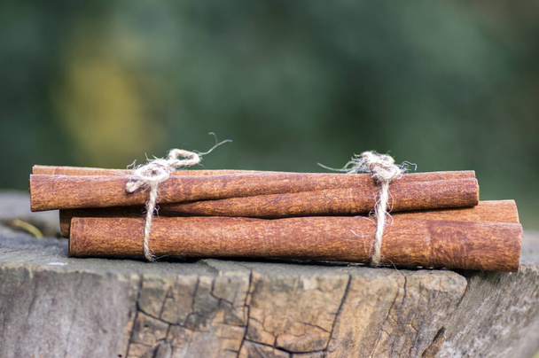 Fresh raw cinnamon sticks on wooden stump, sticks tied with two jute natural twines - Photo, image