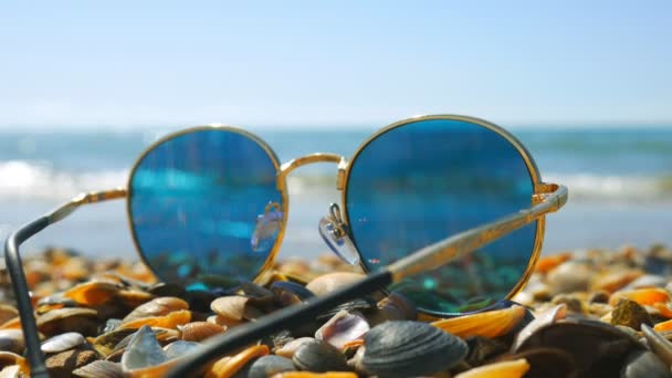 Γυαλιά ηλίου αριστερά στην παραλία κοχύλια, επικεντρώνονται τα κοχύλια. - Πλάνα, βίντεο