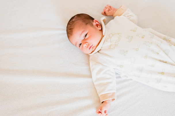 Portrait of tender and adorable 1-week-old baby - Photo, Image