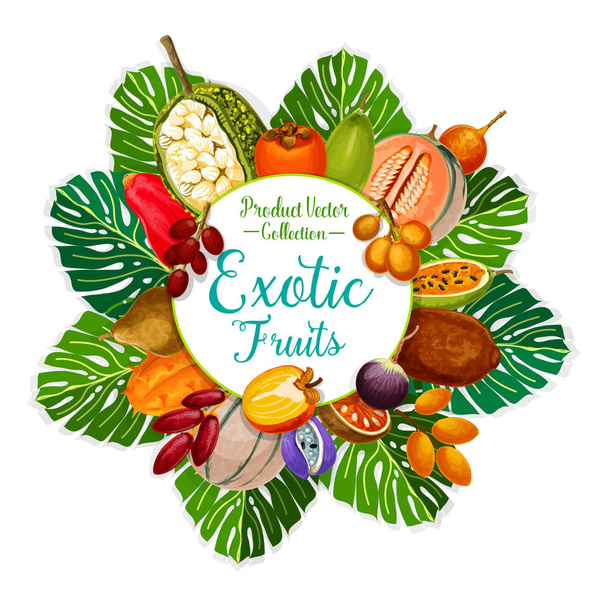 エキゾチックな熱帯の果物です。ベクトルの食べ物や飲み物 - ベクター画像