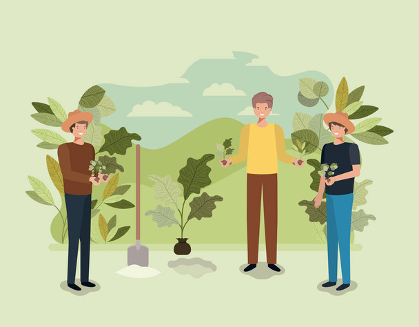 group of men planting tree in the park - Vector, Image