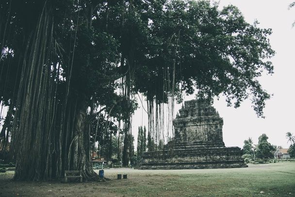 Mendut Temple, another ancient monument found in Yogyakarta, Indonesia - Φωτογραφία, εικόνα