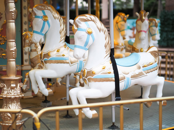 cheval carrousel coloré dans le parc à thème
 - Photo, image