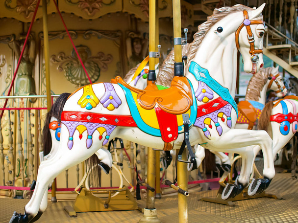 barevný kolotoč koně v zábavním parku - Fotografie, Obrázek