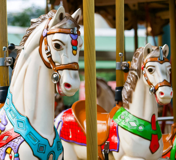Kolorowa karuzela konia w parku rozrywki - Zdjęcie, obraz