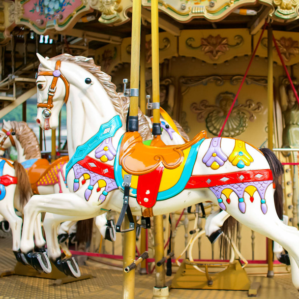 colorful carousel horse in theme park - Photo, Image