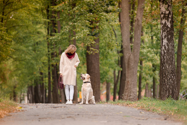 女性が彼女のラブラドールと秋に公園を散歩します。. - 写真・画像