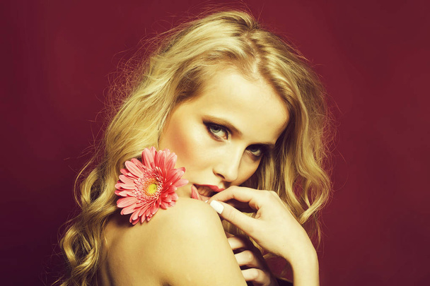 Closeup portrait of one beautiful sexy passionate blonde woman with long curly hair in studio with bare shoulder and brigt makeup holding gerbera flower near face on pink backdrop, horizontal picture - Foto, immagini