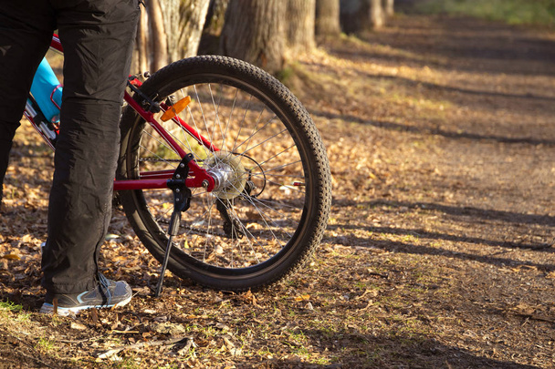 Człowiek w pobliżu nowy czerwony sportowy rower górski (rower) na szlak w lesie jesienią z żółtymi liśćmi  - Zdjęcie, obraz