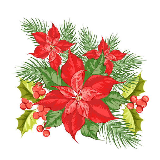 Composition of red poinsettia flower isolated over white background. - Vecteur, image