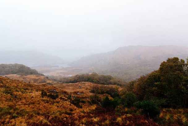 Туманний краєвид на осінь час в Ірландії - Фото, зображення