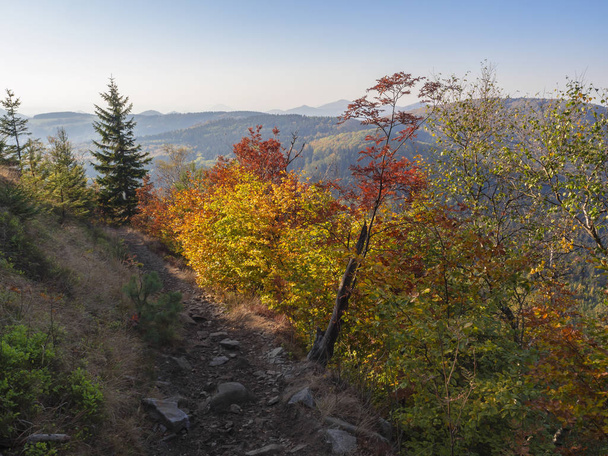 Blick vom Fußweg auf dem Gipfel von Klic oder Kleis in den üppigen Bergen oder Luzicke-Gebirge mit lebhaften herbstlichen Laub- und Nadelbaumwäldern und grünen Hügeln, blauer Himmel goldenes Stundenlicht - Foto, Bild