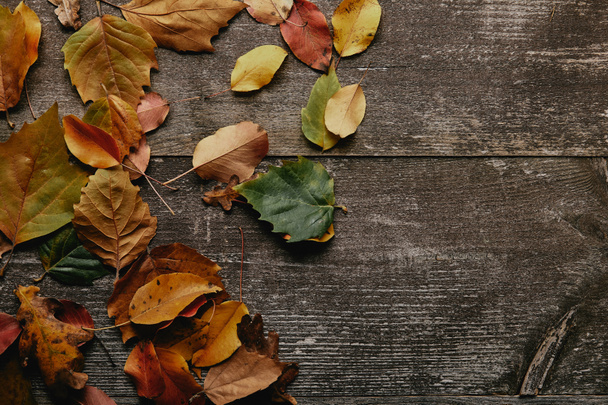 płaskie lay z kolorowe opadłych liści na powierzchni drewnianych - Zdjęcie, obraz