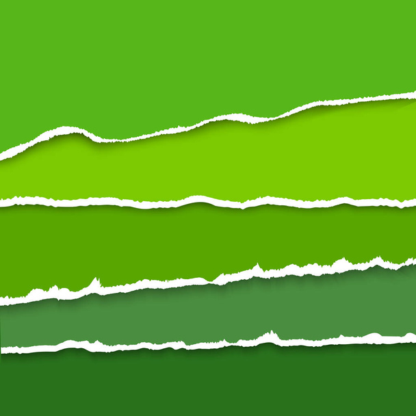 Vector háttér zöld színek szakadt papír gyűjteménye. Reális papír csíkok bemásolt szélekkel. - Vektor, kép