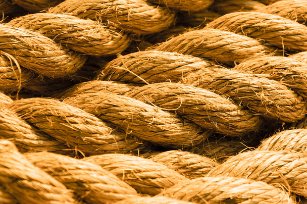 Hemp rope fibers close-up shot - Photo, Image