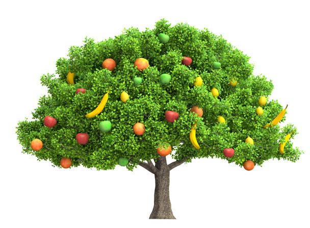fruits tree isolated on white 3D illustration - Foto, Imagem