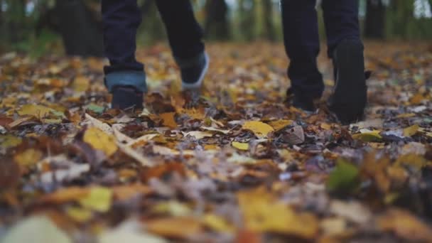Brat dwóch chłopców są spacery na jesiennych liści w lesie - Materiał filmowy, wideo