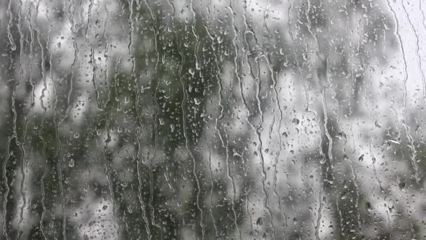 Gotas de lluvia corriendo por una ventana. gotas de agua fluyen por el vaso. Lluvia de verano, nublado, mal humor
 - Metraje, vídeo