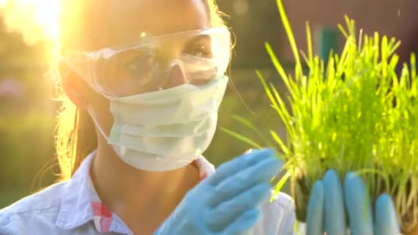 Γυναίκα επιστήμονας με ασφάλεια γυαλιά και μάσκα εξετάζει ενός δείγματος από χώμα και φυτά - Πλάνα, βίντεο