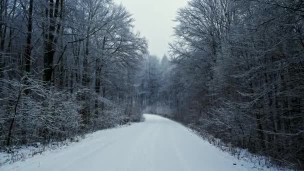 Movimiento de cámara en la carretera nevada en el bosque. Está nevando.
 - Metraje, vídeo