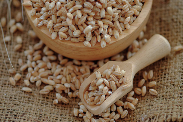 perlas semillas de grano de cebada en backgroun
 - Foto, imagen
