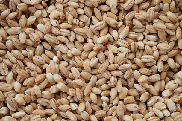 pearls barley grain seed on backgroun - Foto, imagen