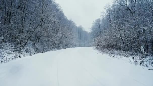 Kamerafahrt auf der verschneiten Straße im Wald. Es schneit - Filmmaterial, Video