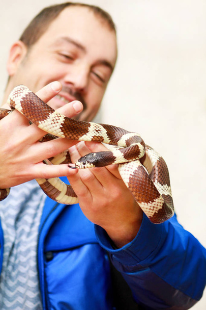 蛇と少年。男は、手爬虫類共通王蛇ヘビの Lampropeltis getula の種類で保持します。エキゾチックな熱帯の冷血動物、動物園。自宅のペットをヘビします。有毒、非有毒なヘビ. - 写真・画像