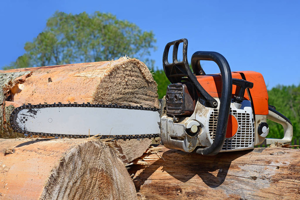 Chain saw on logs - Photo, image