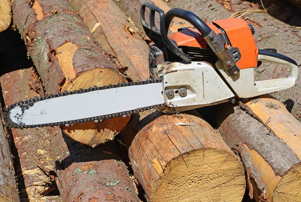Chain saw on logs - Фото, изображение