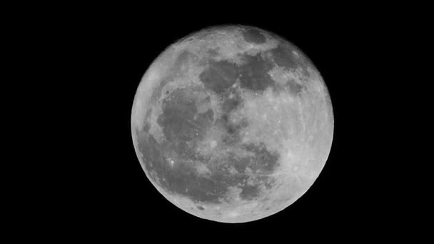 Witte grote maan bij nacht op zwarte achtergrond, - Video