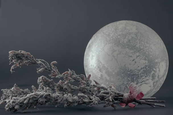 Скляна сфера з морозним візерунком і засніженими сухими квітами
. - Фото, зображення