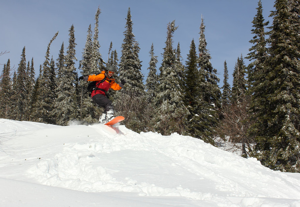 meisje springt op een snowboard in het forest - Foto, afbeelding