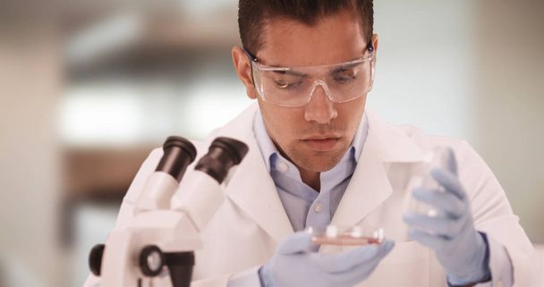 Millennial Latino medical research scientist in lab studying petri dish - Valokuva, kuva