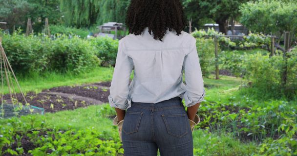 Οπίσθια όψη της μαύρη γυναίκα που αναζητούν πάνω από το λαχανικό και το χορτάρι στον κήπο - Φωτογραφία, εικόνα