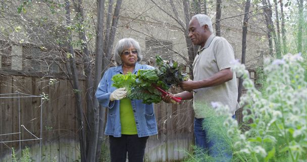 Mature African couple walking in garden with vegetables - Photo, Image