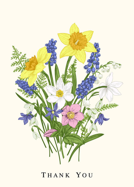 Colorful spring flowers. Botanical card. Design elements. Vintage background. Narcissus, snowdrop, muscari, lily of the valley, scylla. - Вектор, зображення