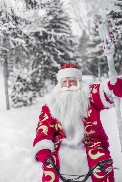 Komik ve neşeli Noel Baba bir orman ve mutlu bir yeni yıl temiz havada rides - Fotoğraf, Görsel
