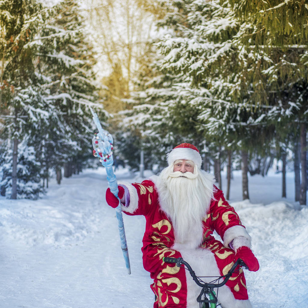 Babbo Natale divertente e allegro cavalca all'aria aperta in una foresta e un felice anno nuovo
 - Foto, immagini