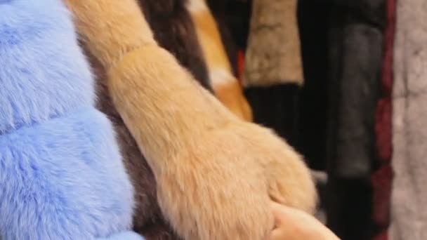 Renk tilki kürk manto görüntüleri - Video, Çekim